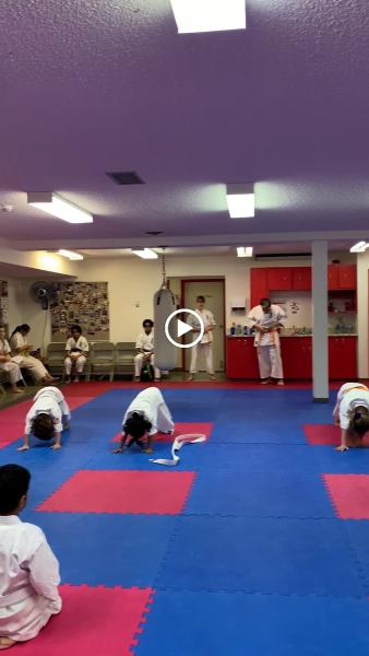 Edmonton Kyokushin Karate Club