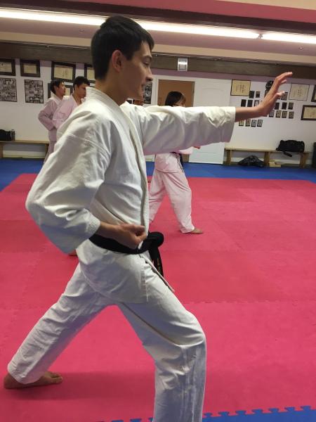 Westmount Karate-Do & Kobudo Club