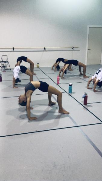 The North Dance Company