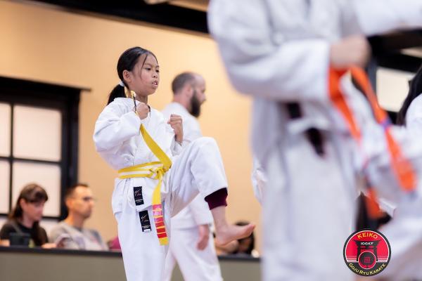 Keiko Martial Arts