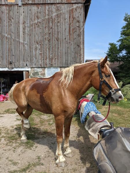 Silver Spur Ranch