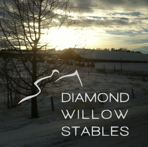 Diamond Willow Stables