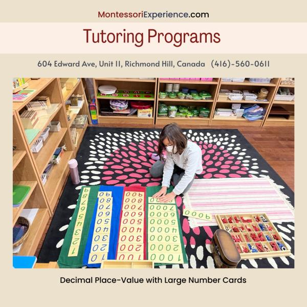 Montessori Experience Tutoring