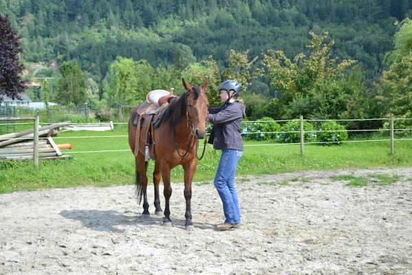 Cassidy Floris Horsemanship