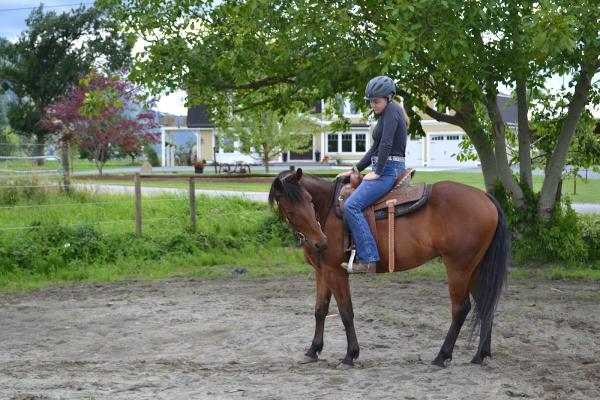 Cassidy Floris Horsemanship