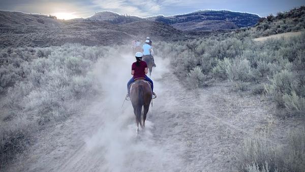 Sun Hills Riding Centre