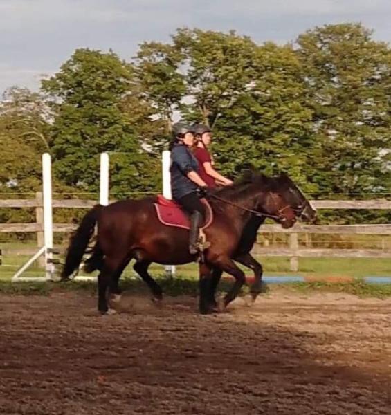 Churchill Chimes Equestrian Centre