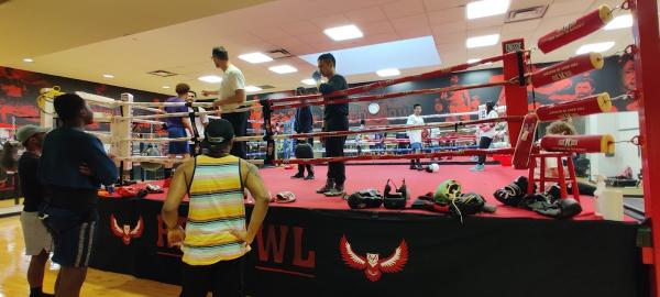 Red Owl Boxing