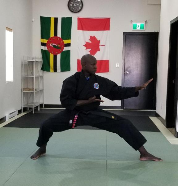 Universal Martial Art Robin Ryu Jiu Jitsu