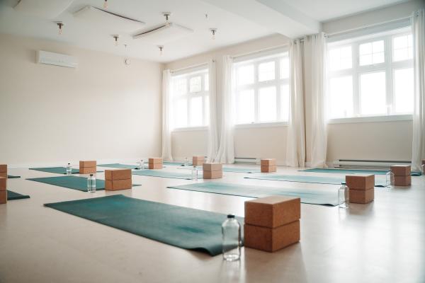 The Practice: Yoga & Mindful Movement