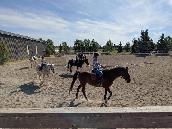 Paramount Equestrian Centre