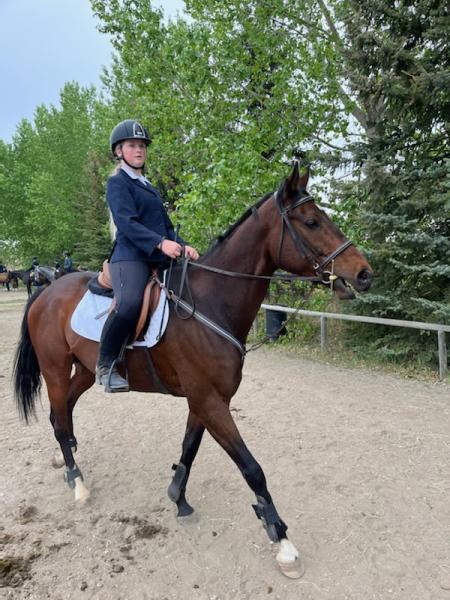 Paramount Equestrian Centre