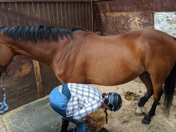 Paramount Equestrian Centre