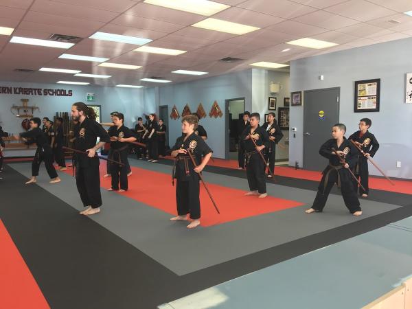 Northern Karate School Aurora