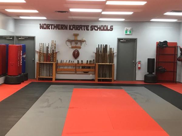 Northern Karate School Aurora