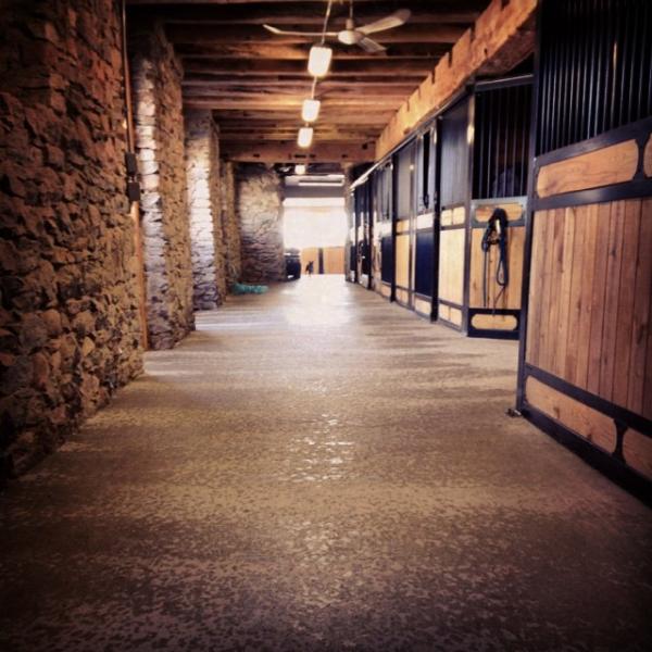 Stonewood Riding Academy