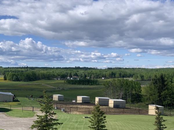 Glenhaven Stables