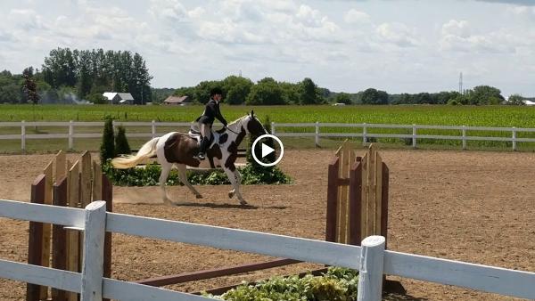 Edenview Equestrian Center