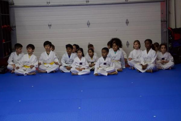 Vaughan Martial Arts Academy