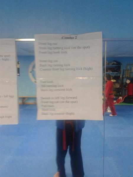 Tri Star Taekwondo
