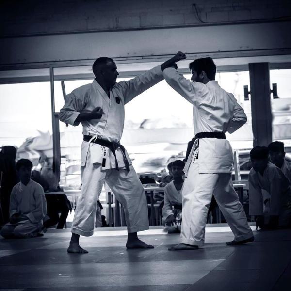 Shushinkan Karate