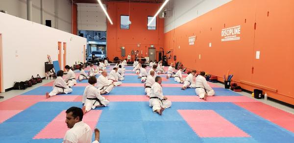 Kimnik Shotokan Karate Academy