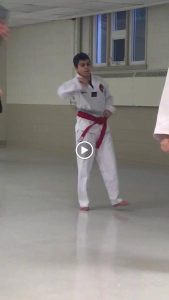 Madrid Taekwondo Institute