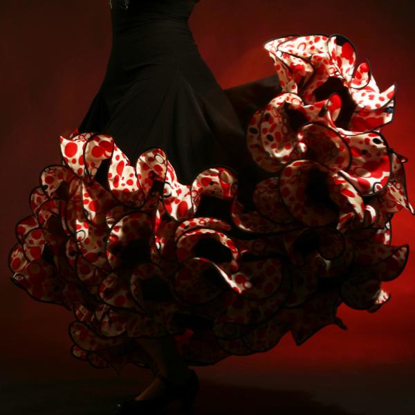 Alma Viva Dance Studio