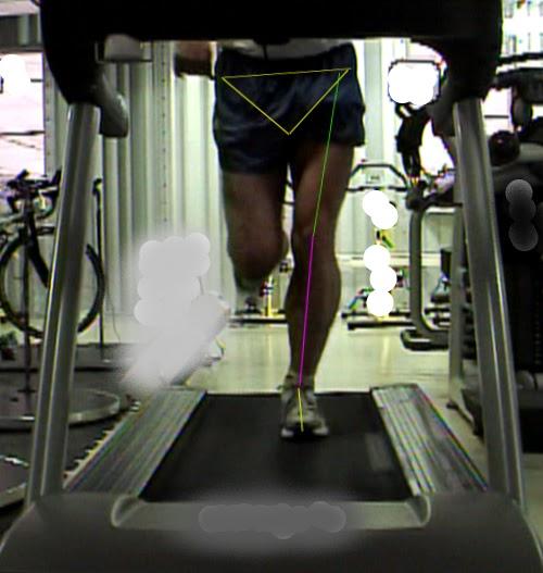 Foundation Biomechanics