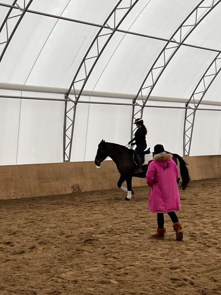 Andromeda Equestrian Centre