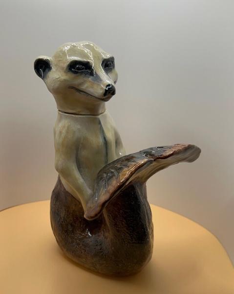 Danger Creative Studio