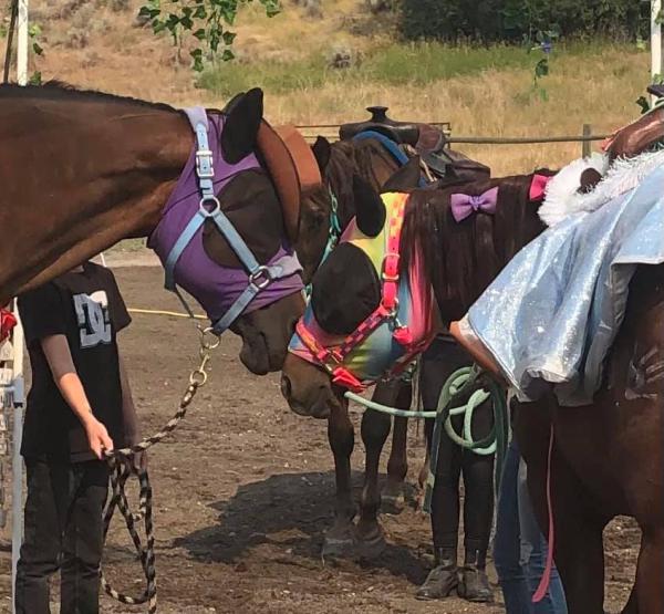 Sagebrush Pony Parties & Events