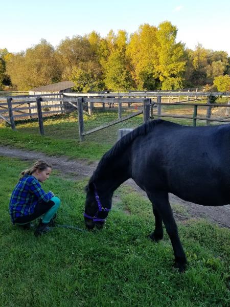 Lone Wolf Farm