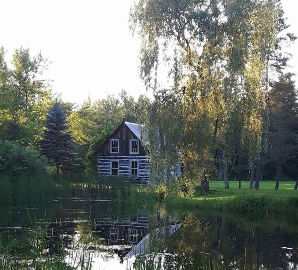 Blue Lotus Yoga Studio Inc.