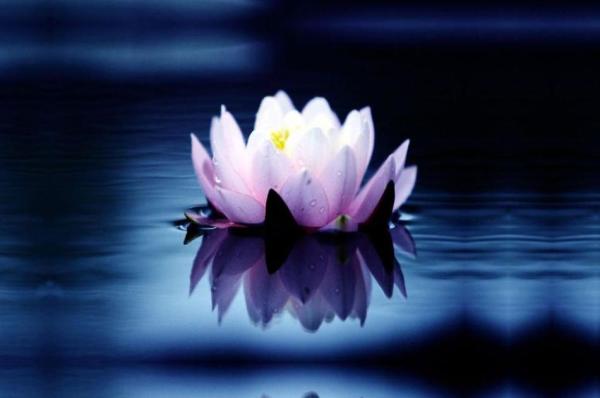 Second Sight Psychic Studio AND Wellness Centre