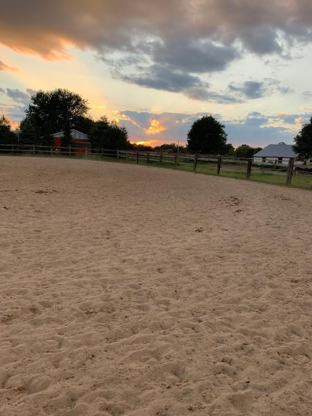 Hse Stables