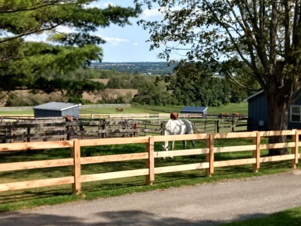 Marbill Hill Farm