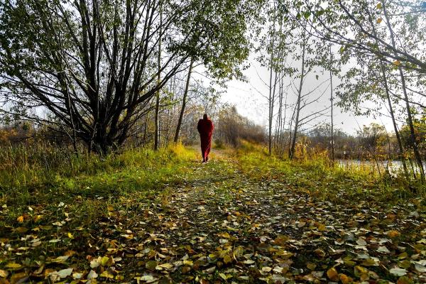 Alberta Insight Meditation Centre (Aim Centre)