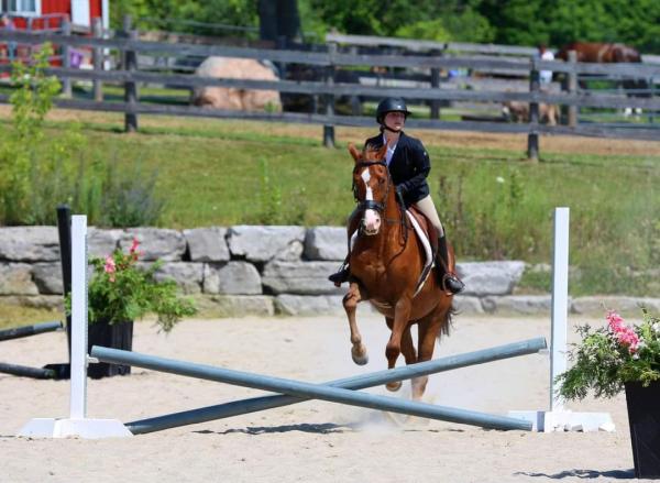 New Beginnings Equine Stables