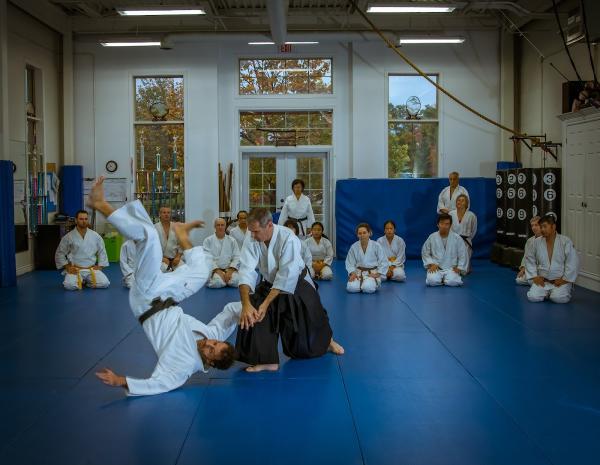 Aikido Shindokan