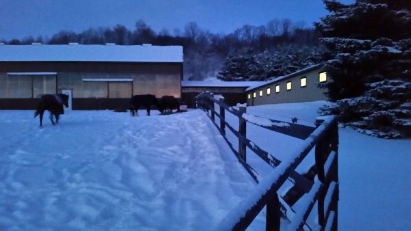 Heels Down Equestrian Centre