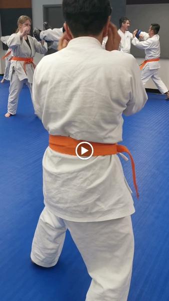 Nova Karate Jutsu