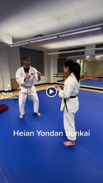 Nova Karate Jutsu