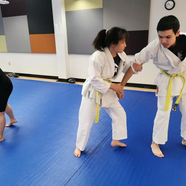 Nova Karate Jutsu
