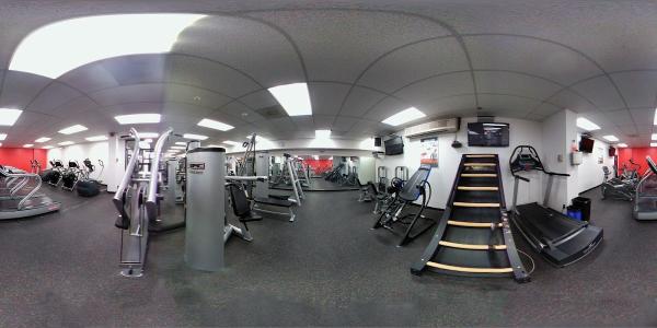 Bao Institute