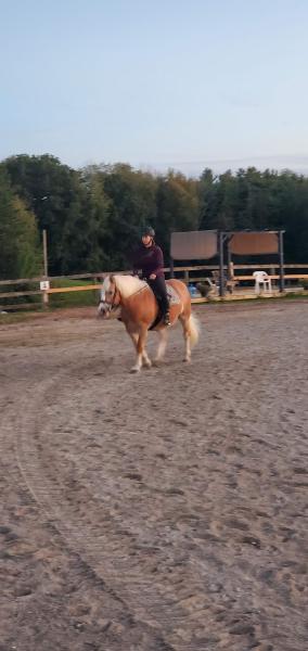 Harmony Hills Stables