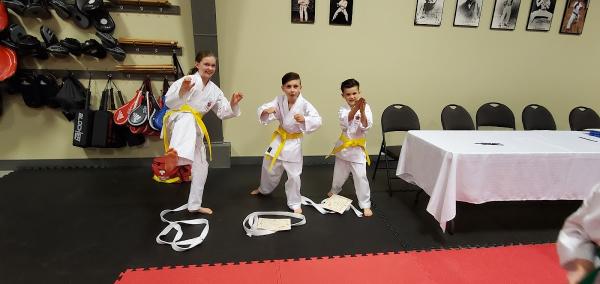 Desa School Of Karate