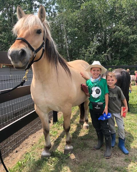 Meadow Ridge Equestrian