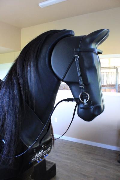 Black Horse Biomechanics