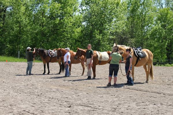 Pard Therapeutic Riding